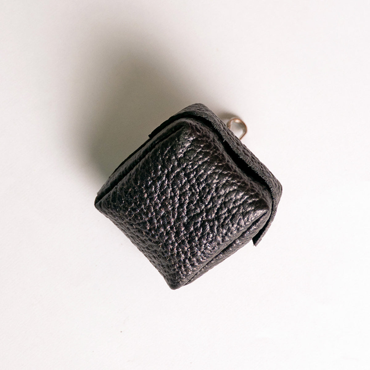 EarPods case